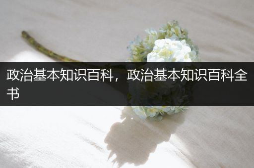 政治基本知识百科，政治基本知识百科全书