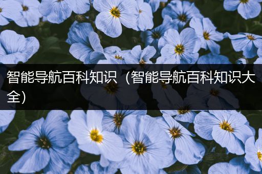 智能导航百科知识（智能导航百科知识大全）
