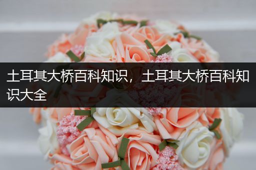 土耳其大桥百科知识，土耳其大桥百科知识大全