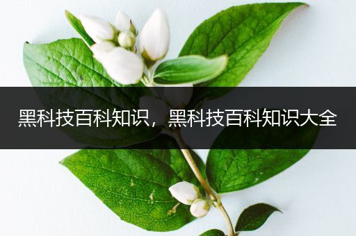 黑科技百科知识，黑科技百科知识大全