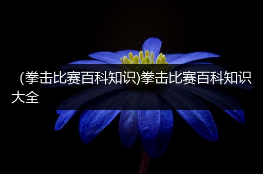 （拳击比赛百科知识)拳击比赛百科知识大全