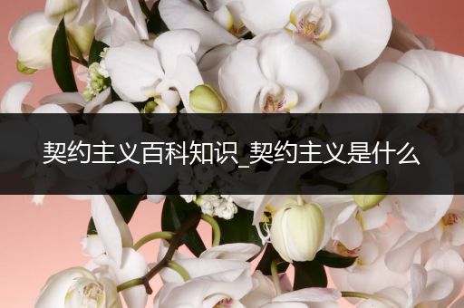契约主义百科知识_契约主义是什么