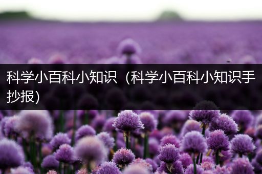 科学小百科小知识（科学小百科小知识手抄报）