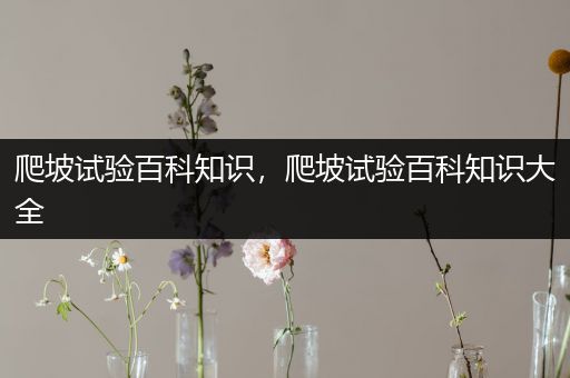 爬坡试验百科知识，爬坡试验百科知识大全