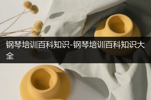 钢琴培训百科知识-钢琴培训百科知识大全
