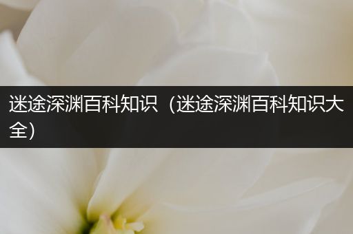 迷途深渊百科知识（迷途深渊百科知识大全）
