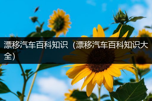 漂移汽车百科知识（漂移汽车百科知识大全）