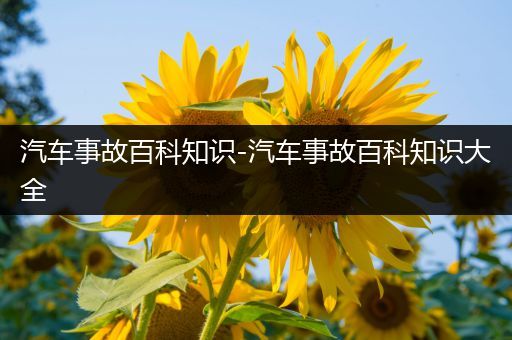 汽车事故百科知识-汽车事故百科知识大全