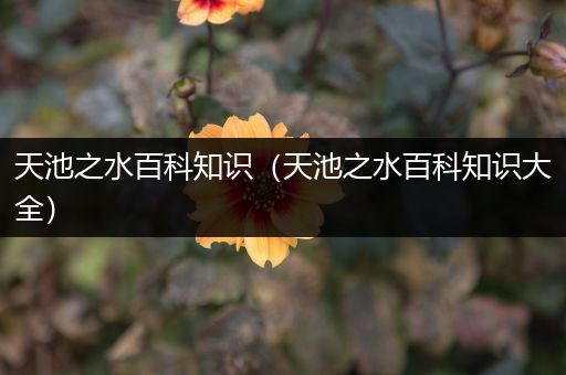天池之水百科知识（天池之水百科知识大全）