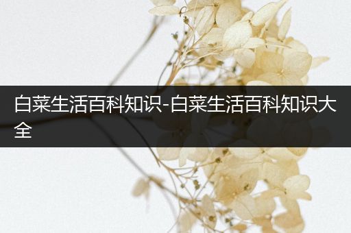 白菜生活百科知识-白菜生活百科知识大全