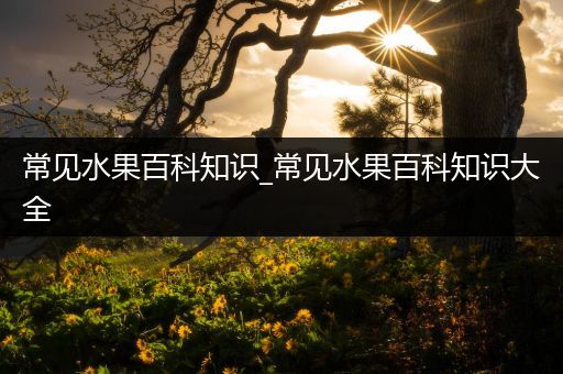 常见水果百科知识_常见水果百科知识大全