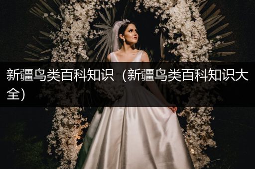 新疆鸟类百科知识（新疆鸟类百科知识大全）