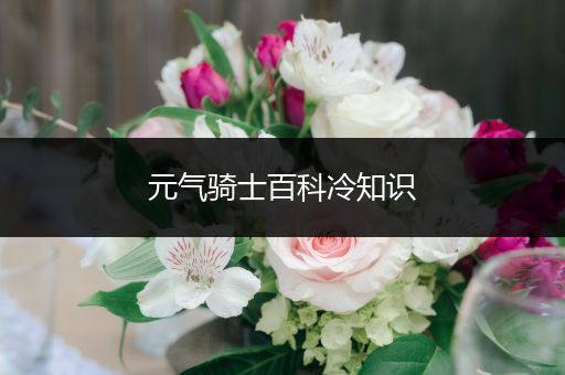 元气骑士百科冷知识