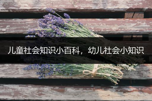 儿童社会知识小百科，幼儿社会小知识