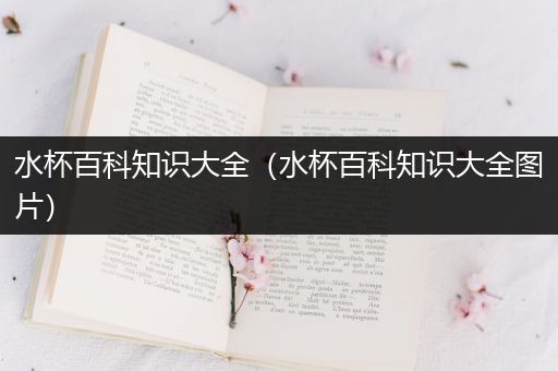 水杯百科知识大全（水杯百科知识大全图片）
