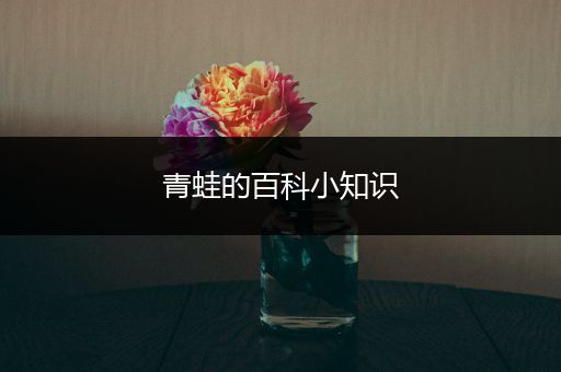 青蛙的百科小知识