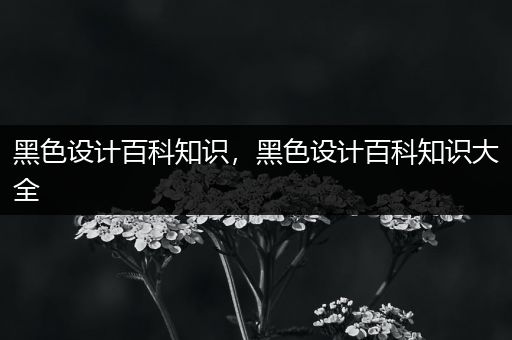 黑色设计百科知识，黑色设计百科知识大全