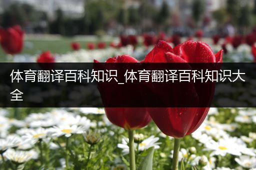 体育翻译百科知识_体育翻译百科知识大全