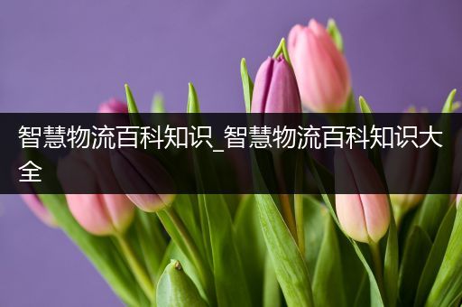 智慧物流百科知识_智慧物流百科知识大全