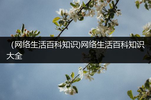 （网络生活百科知识)网络生活百科知识大全
