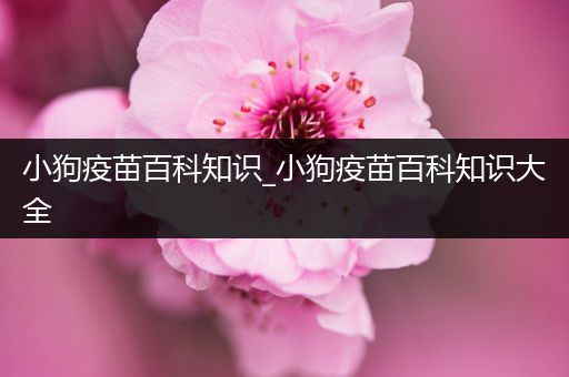 小狗疫苗百科知识_小狗疫苗百科知识大全