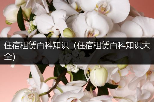 住宿租赁百科知识（住宿租赁百科知识大全）