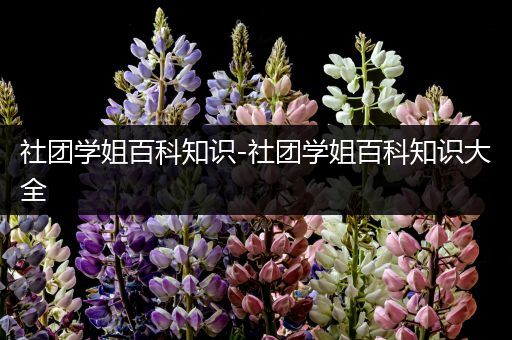 社团学姐百科知识-社团学姐百科知识大全