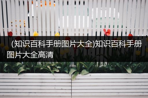（知识百科手册图片大全)知识百科手册图片大全高清