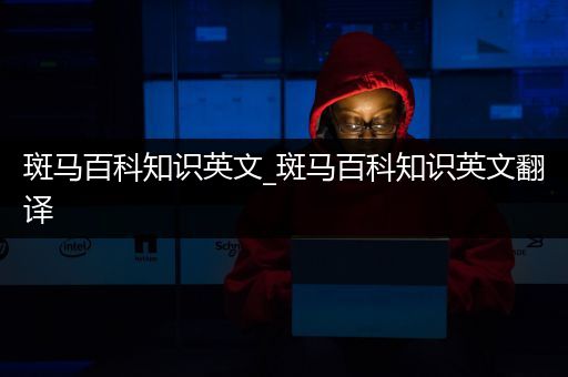 斑马百科知识英文_斑马百科知识英文翻译