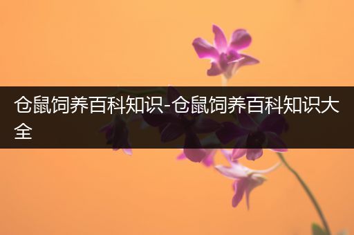 仓鼠饲养百科知识-仓鼠饲养百科知识大全