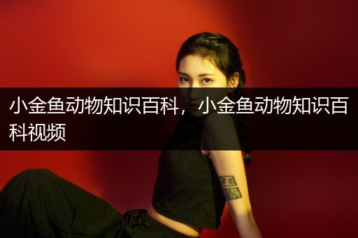 小金鱼动物知识百科，小金鱼动物知识百科视频
