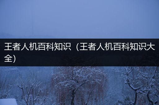 王者人机百科知识（王者人机百科知识大全）