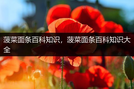 菠菜面条百科知识，菠菜面条百科知识大全