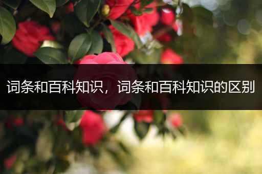 词条和百科知识，词条和百科知识的区别