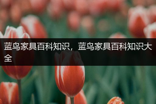 蓝鸟家具百科知识，蓝鸟家具百科知识大全