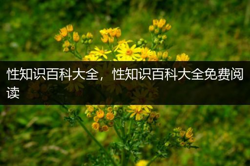 性知识百科大全，性知识百科大全免费阅读