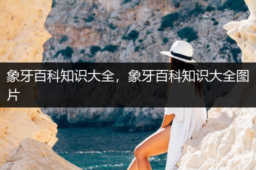 象牙百科知识大全，象牙百科知识大全图片