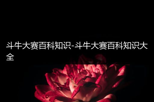 斗牛大赛百科知识-斗牛大赛百科知识大全