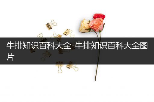 牛排知识百科大全-牛排知识百科大全图片