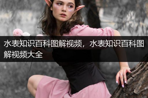 水表知识百科图解视频，水表知识百科图解视频大全