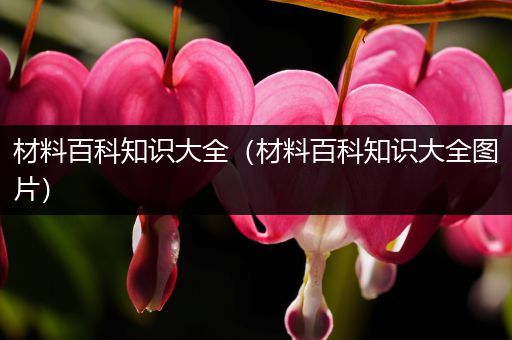 材料百科知识大全（材料百科知识大全图片）