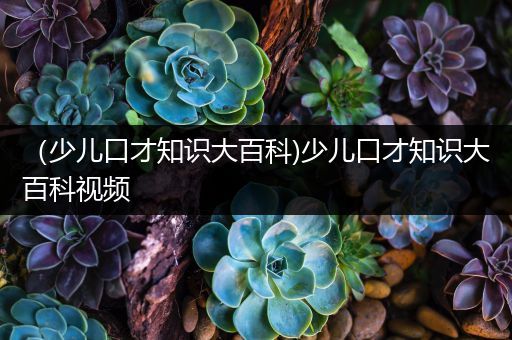 （少儿口才知识大百科)少儿口才知识大百科视频
