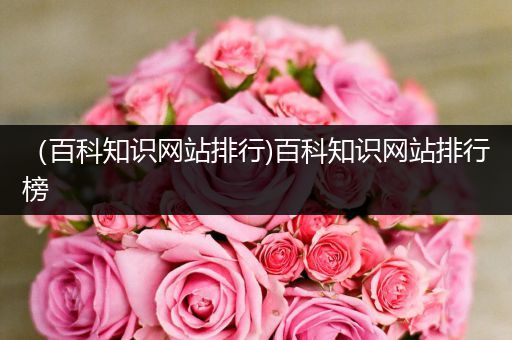 （百科知识网站排行)百科知识网站排行榜