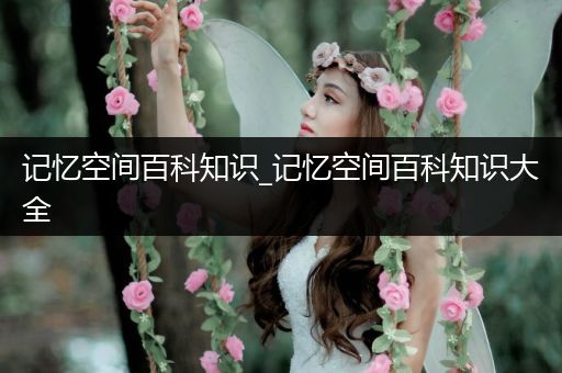 记忆空间百科知识_记忆空间百科知识大全