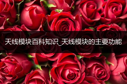 天线模块百科知识_天线模块的主要功能