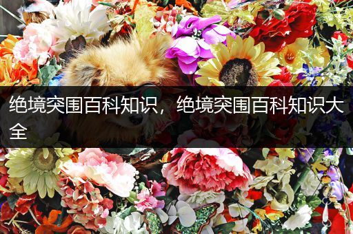 绝境突围百科知识，绝境突围百科知识大全