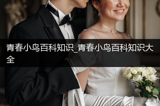 青春小鸟百科知识_青春小鸟百科知识大全