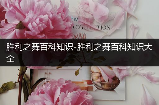 胜利之舞百科知识-胜利之舞百科知识大全