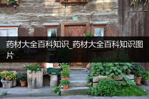 药材大全百科知识_药材大全百科知识图片