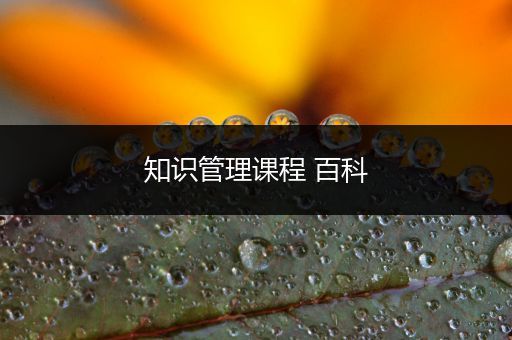 知识管理课程 百科